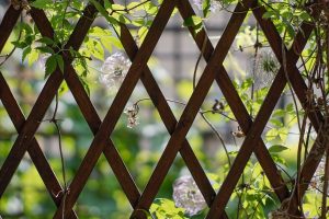 Trzy sposoby, jak zamienić altanę ogrodową w ulubiony kącik na świeżym powietrzu!