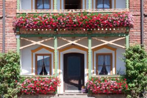 Nawożenie roślin balkonowych - jak należy o to zadbać?