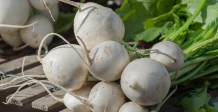 Białe warzywo – gatunki i rodzaje. Jakie wartości odżywcze posiadają białe warzywa?