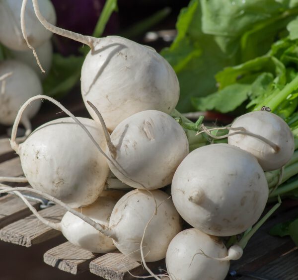 Białe warzywo – gatunki i rodzaje. Jakie wartości odżywcze posiadają białe warzywa?