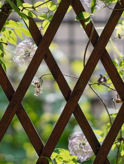 Trzy sposoby, jak zamienić altanę ogrodową w ulubiony kącik na świeżym powietrzu!