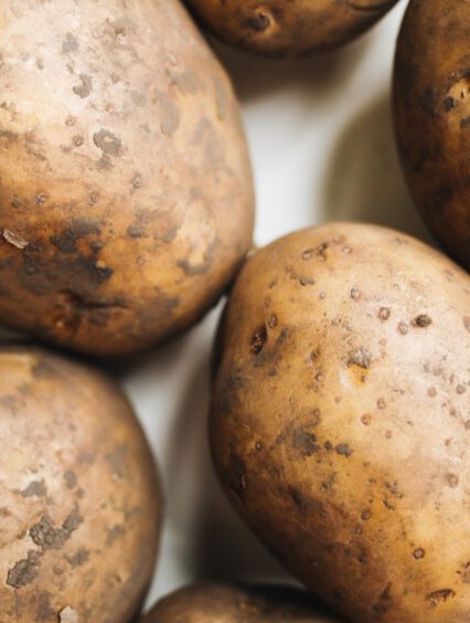 Uprawa ziemniaka na działce – wszystko co musisz wiedzieć