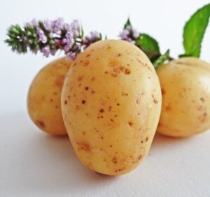 Ziemniaki – odmiany wczesne, średnio wczesne, średnio późne i późne