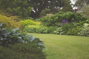 Nawadnianie dużego ogrodu i jego koszty