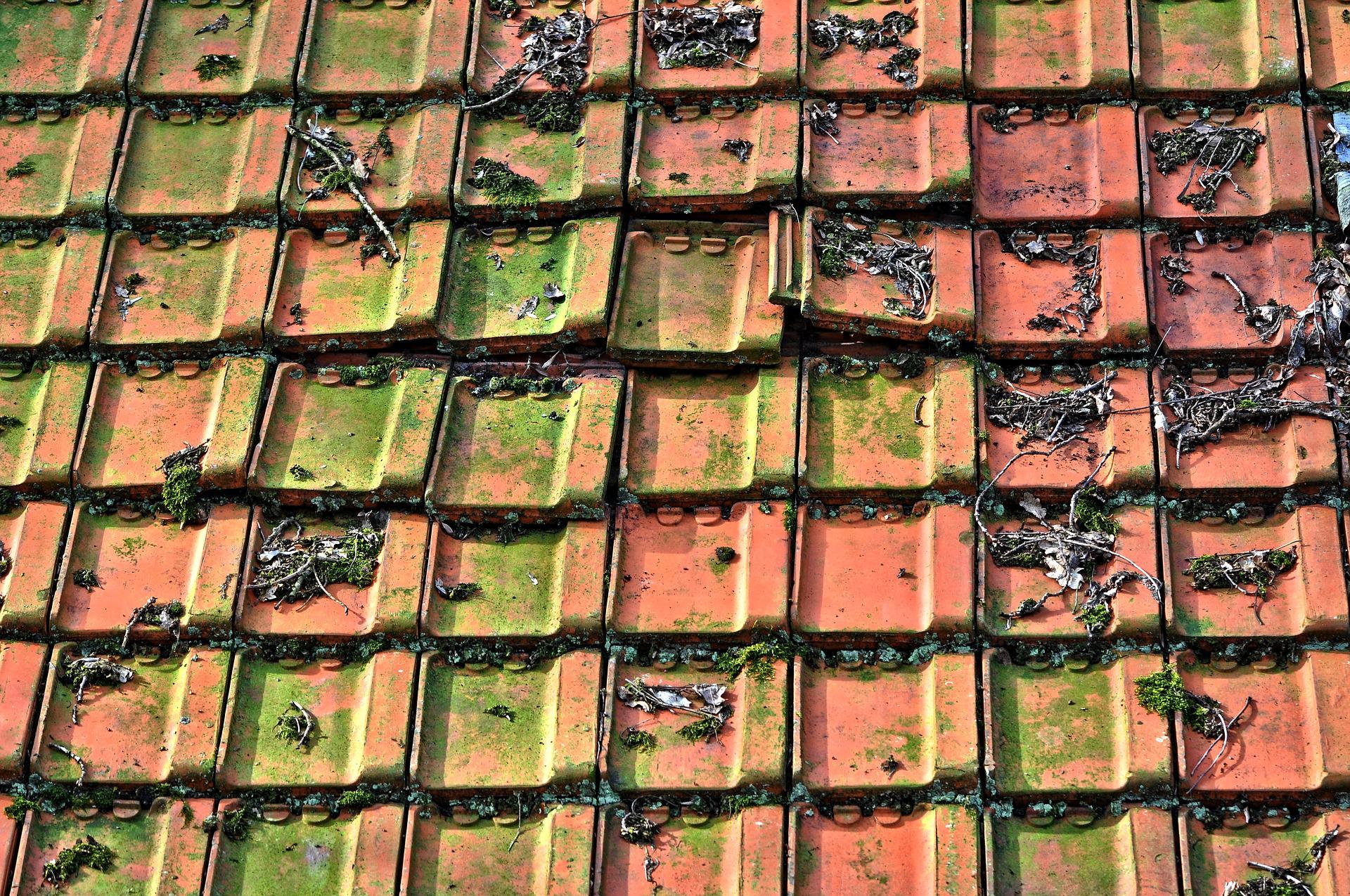 Czyszczenie dachówki ceramicznej na dachu