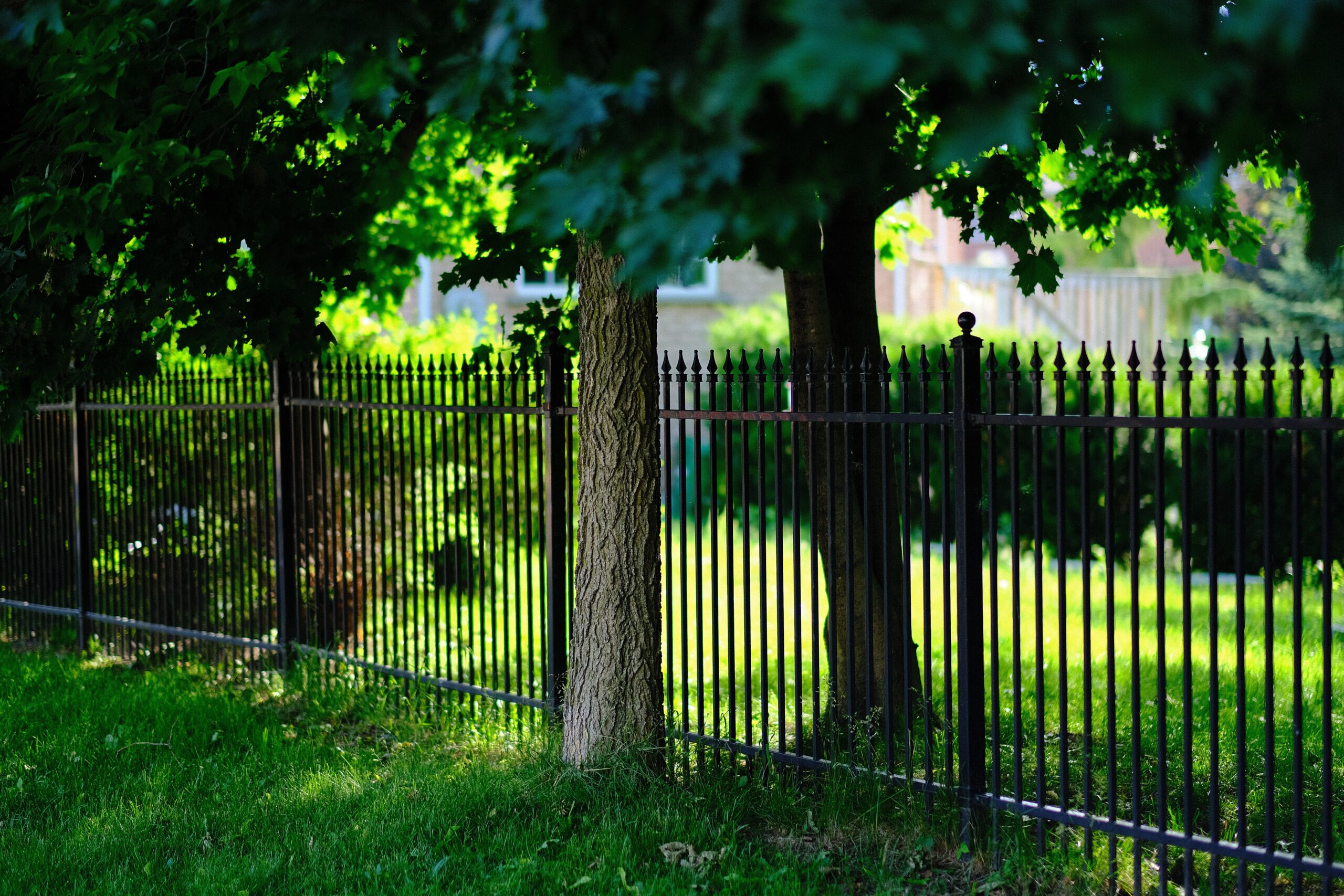 Solidna czarna brama ogrodowa