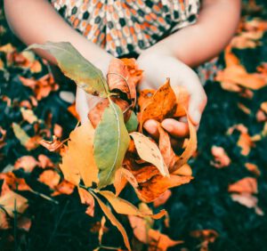 Jesień w ogrodzie – jak przyjemnie spędzić w nim ten czas?