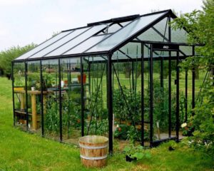 Wybudowana szklarnia ogrodowa pod którą są warzywa