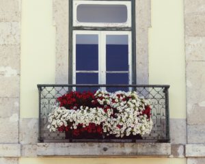 Białe kwiaty zwisające na balkonie