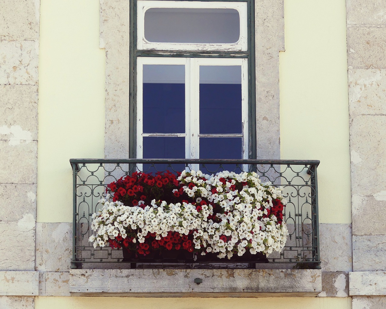 Białe kwiaty zwisające na balkonie