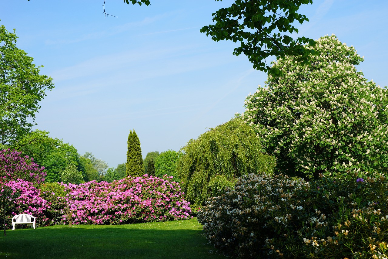 Ogród z rododendronem tarragona