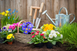 Na naszym obrazku zobaczysz piękne, kolorowe kwiaty rosnące w doniczkach i pojemnikach, co sprawia, że ​​są one idealnym wyborem dla małych przestrzeni ogrodowych. Kwiaty te dodają uroku i kolorów do Twojego ogrodu, a także są łatwe do pielęgnacji. W naszym artykule dowiesz się, jakie są najlepsze kwiaty ogrodowe do uprawy w doniczkach i pojemnikach oraz jakie korzyści przynoszą do Twojego ogrodu. Przekonaj się, jakie kwiaty doniczkowe będą najlepszym wyborem dla Twojego ogrodu i ciesz się ich pięknem przez cały sezon.