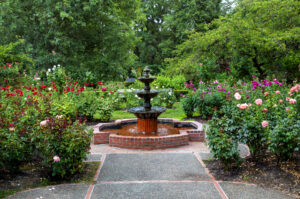 Na tym zdjęciu widzimy piękny ogród deszczowy z fontanną, który został zaprojektowany z myślą o wykorzystaniu wody deszczowej. Widać, że woda deszczowa jest gromadzona w specjalnym zbiorniku, a następnie wykorzystywana do podlewania roślin i napędzania fontanny. Na pierwszym planie widać kolorowe kwiaty i krzewy, które pięknie komponują się z fontanną i zieloną trawą. Na drugim planie widać naturalny krajobraz, który dodaje uroku i harmonii temu miejscu. Całość obrazu tworzy wrażenie pięknego i funkcjonalnego ogrodu, który nie tylko jest estetyczny, ale też przyjazny dla środowiska i oszczędza wodę.