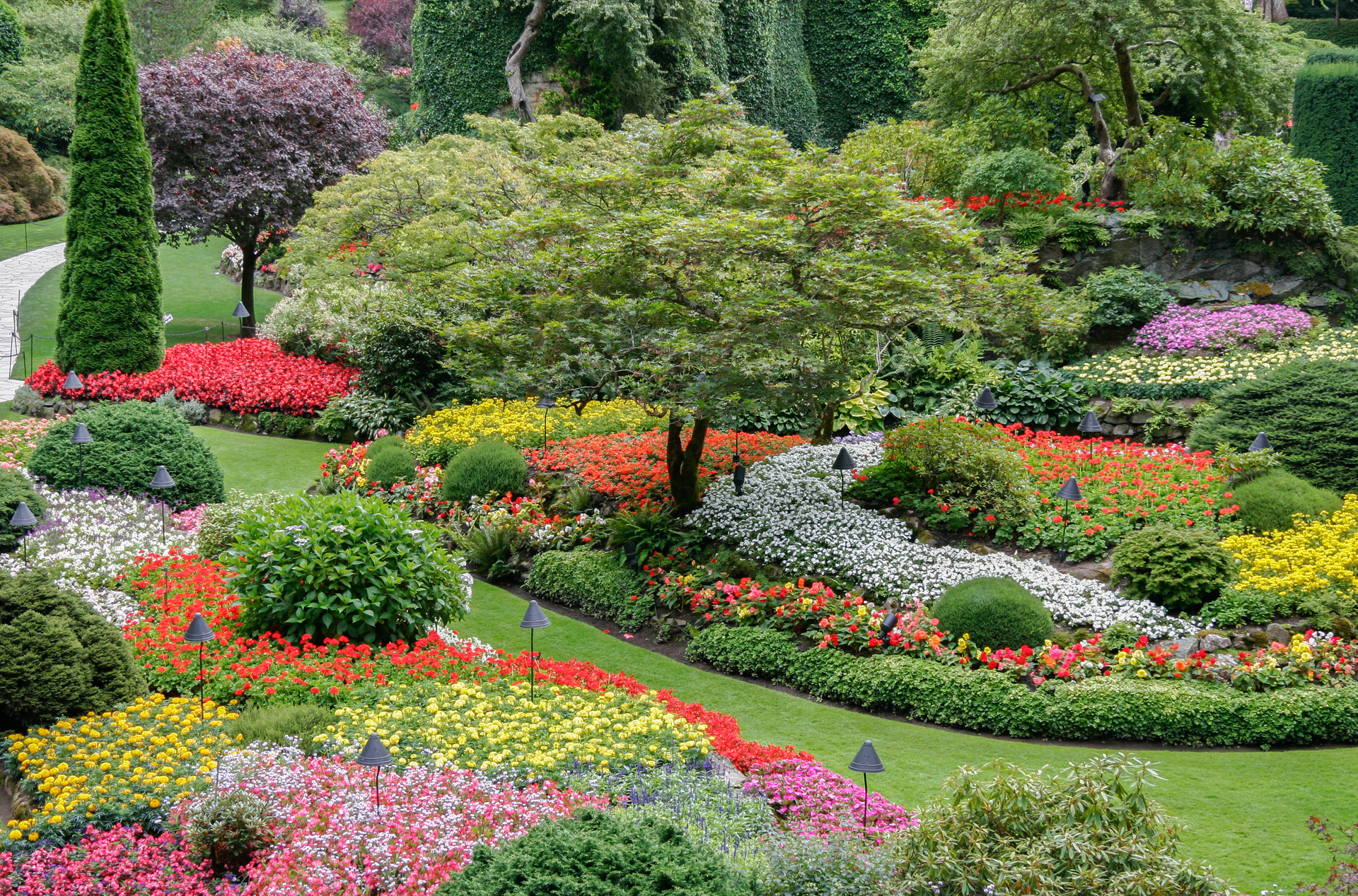 Na naszym obrazku zobaczysz piękny, kolorowy ogród, w którym kwitną różnorodne kwiaty. Ten piękny krajobraz ogrodu tworzy wspaniałą atmosferę i jest idealnym miejscem do odpoczynku i relaksu. W naszym artykule dowiesz się, jak stworzyć podobny ogród i jakie kwiaty ogrodowe najlepiej się do tego nadają. Przekonaj się, jakie kwiaty ogrodowe będą najlepszym wyborem dla Twojego ogrodu i ciesz się ich pięknem przez cały sezon.