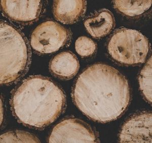 Rodzaje drewna i jego zastosowanie w budownictwie