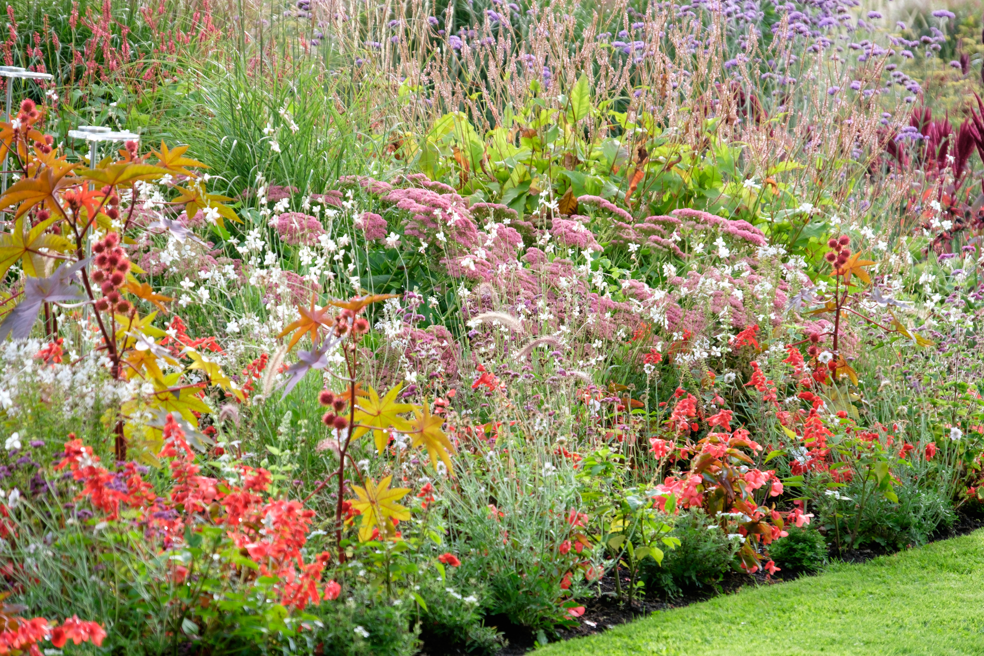 Na tym ujmującym obrazku możemy podziwiać malowniczy ogród klasyczny, który ożywiają kolorowe kwiaty w pełnym rozkwicie. Wśród eleganckich alejek i regularnie ułożonych rabat, rozkwitają różnorodne odmiany kwiatów, tworząc harmonijną paletę kolorów. Ta piękna kompozycja w ogrodzie klasycznym przyciąga uwagę swoim urokiem i zachwyca swoją bujną roślinnością, tworząc idealne miejsce do wyciszenia i podziwiania natury