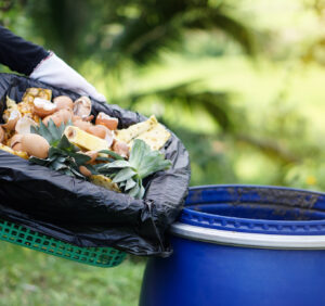 Kompostowanie: kiedy i jak rozrzucać kompost dla optymalnego nawożenia?