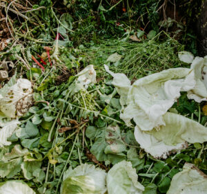 Kompostowanie trawy: praktyczne wskazówki jak zrobić i wykorzystać kompost z trawy