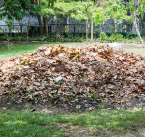 Kompostowanie osadów ściekowych: korzyści i praktyka