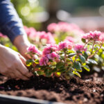 Tworzenie kompostu do kwiatów doniczkowych