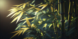 Na obrazku przedstawiona jest bambusowa trawa ozdobna, emanująca swoim naturalnym pięknem. Jej delikatne i gęste liście tworzą elegancką i zwiewną kompozycję, która dodaje uroku i harmonii otoczeniu. Bambusowa trawa ozdobna jest nie tylko estetycznym elementem dekoracyjnym, ale także przyciąga uwagę swoją łagodnością i subtelnym ruchem na wietrze