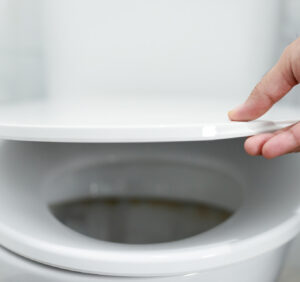 Deski sedesowe myjące: wielofunkcyjne rozwiązanie dla współczesnej łazienki