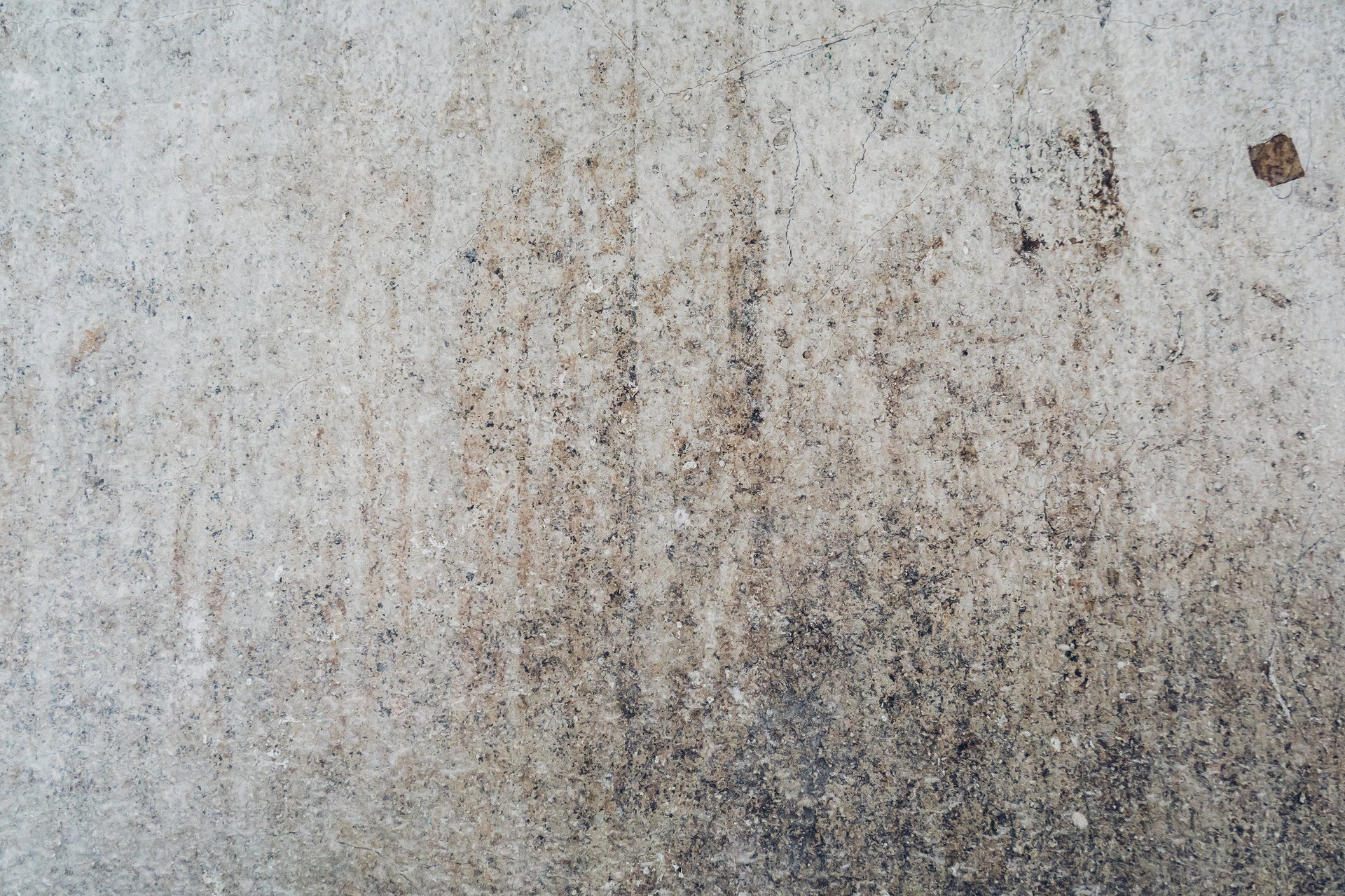 Zagrzybiona ściana pokryta plamami grzyba, co ukazuje problem wilgoci