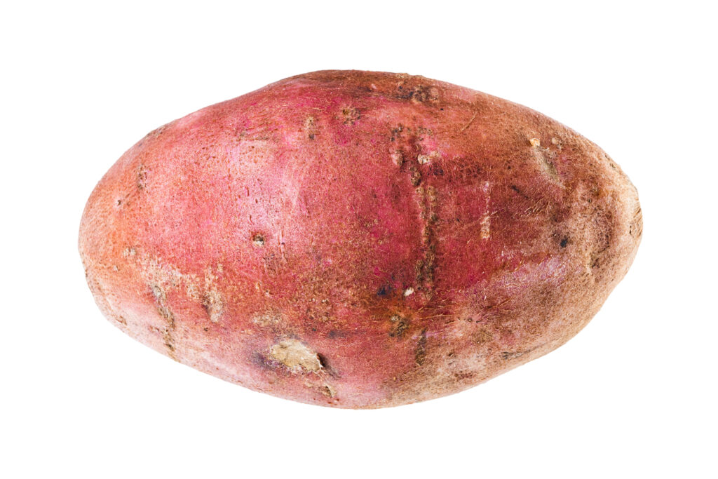 Czerwony ziemniak Bellarosa na białym tle
