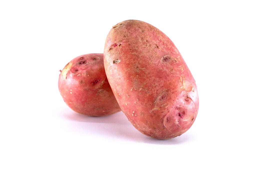 Dwa czerwone ziemniaki Bellarosa na białym tle
