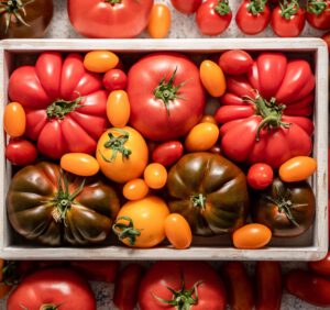 Jakie sadzonki pomidorów wybrać do domowej szklarni – porady od doświadczonych producentów
